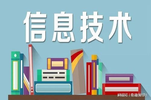 數(shù)字浪潮 信息技術(shù)開發(fā)的演進(jìn)與未來(lái)